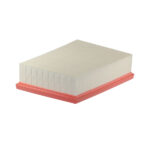 FILTRON FILTR POWIETRZA AP071/4